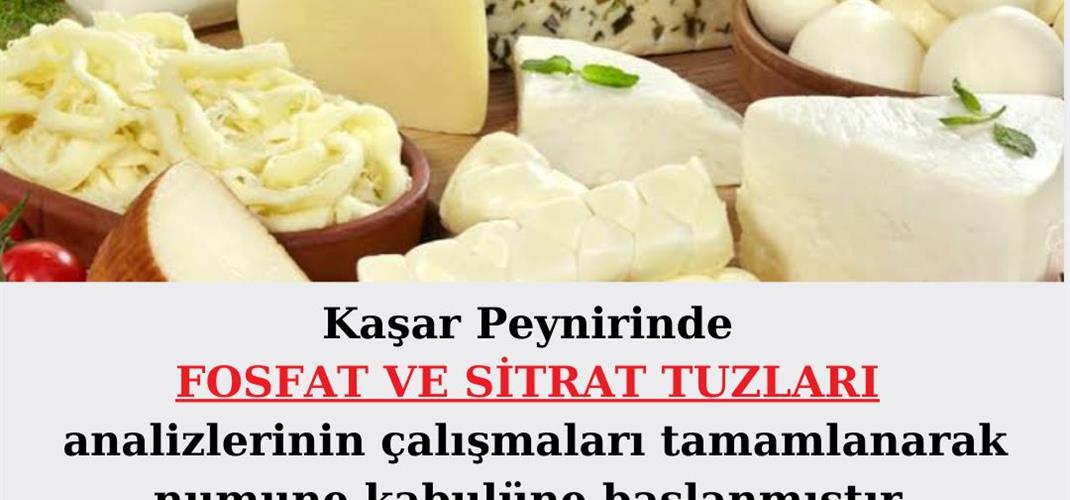 HALKIMIZIN GÜVENİLİR GIDAYA ULAŞMASI İÇİN GAYRET EDİYORUZ.