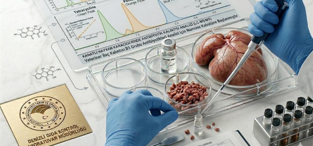 Kanatlı Karaciğerinde Veteriner  İlaç  Kalıntısı  B1  Grubu  Antibiyotikleri  Analizi için Numune Kabulüne Başlanmıştır.
