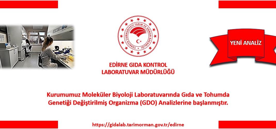 Yeni Analiz: GDO Analizi