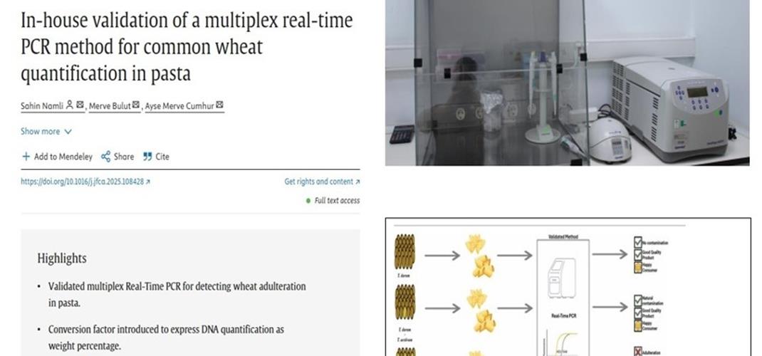 MAKARNA VE İRMİKTE EKMEKLİK BUĞDAY ORANI ANALİZİ YAYINI