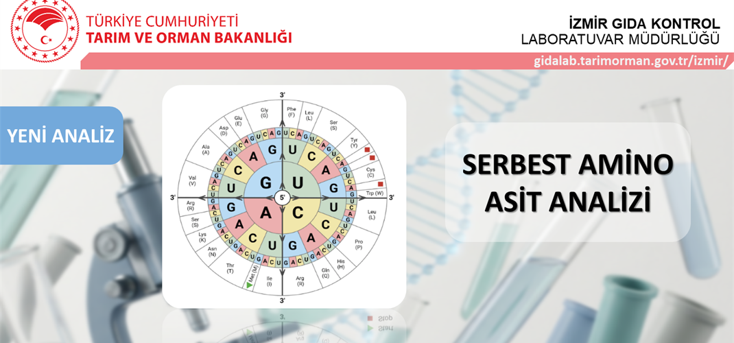 Yeni Analiz: Sporcu Gıdaları, Takviye Edici Gıdalar ve Enerji İçeceklerinde Serbest Amino Asit Analizi