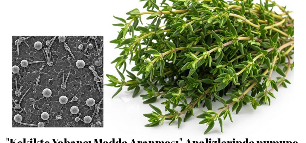 KEKİKTE YABANCI MADDE ARANMASI ANALİZLERİNDE NUMUNE KABULÜNE BAŞLANMIŞTIR.