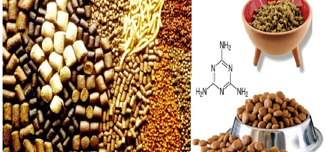 Müdürlüğümüzde Yemlerde  Melamin  Analizi için numune kabulüne başlanmıştır.​