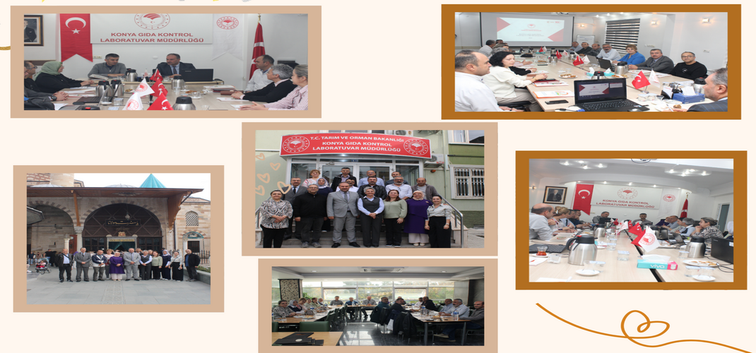 Kurumumuzda Fiziksel Analizlerde Metot Birlikteliği Toplantısı Düzenlendi