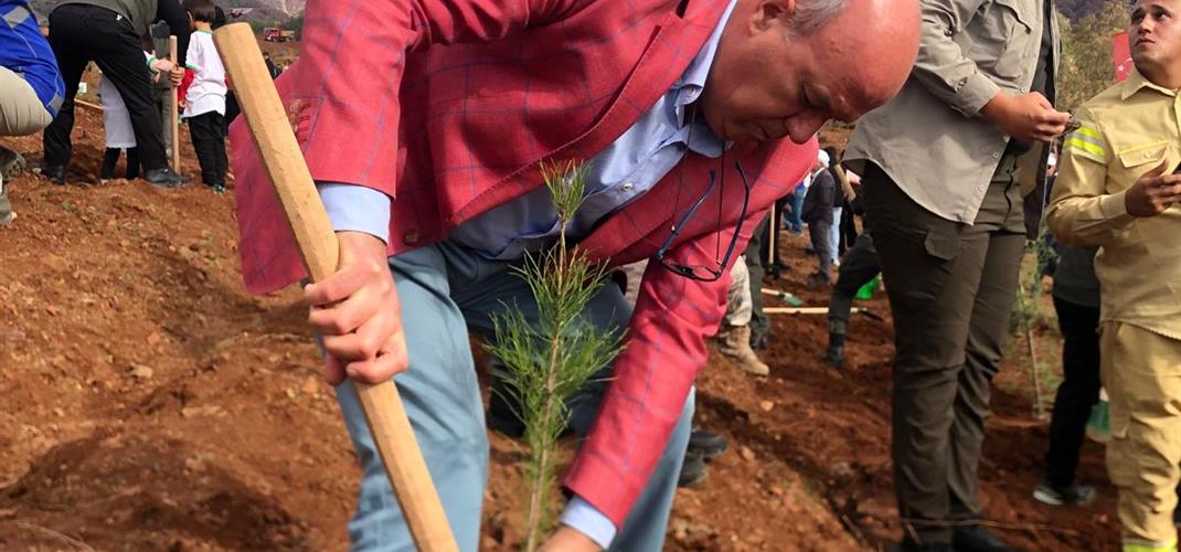 11 Kasım Milli Ağaçlandırma Günü