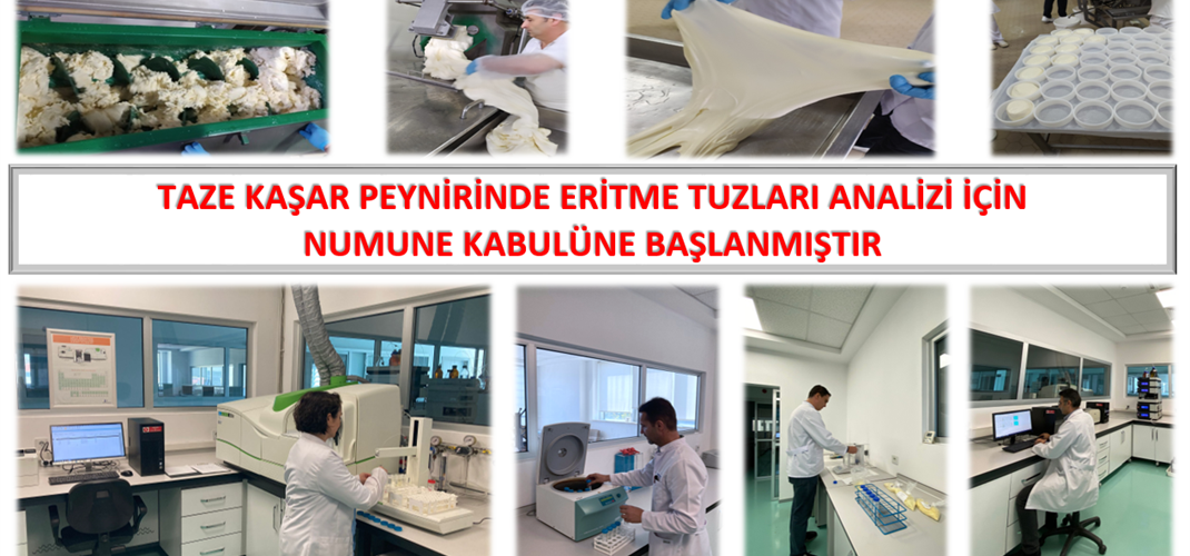 TAZE KAŞAR PEYNİRİNDE ERİTME TUZU ANALİZLERİ İÇİN NUMUNE KABULÜNE BAŞLANMIŞTIR